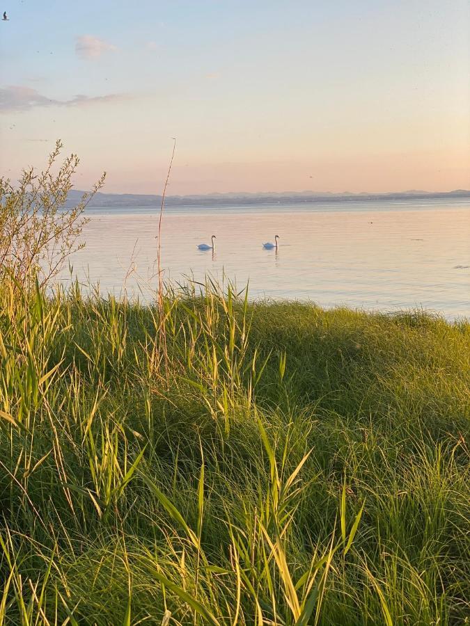 Ferien-Apartment Eisvogel Im Naturschutzgebiet Mit Privatstrand FDH Dış mekan fotoğraf