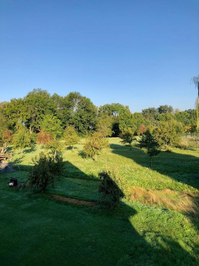 Ferien-Apartment Eisvogel Im Naturschutzgebiet Mit Privatstrand FDH Dış mekan fotoğraf